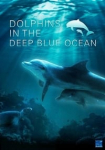 Dolphins in the Deep Blue Ocean