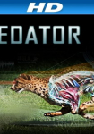 I, Predator