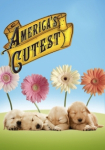 America's Cutest