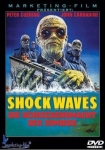 Shock Waves