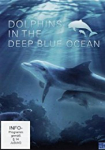 Dolphins in the Deep Blue Ocean