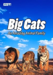 Big Cats: An Amazing Animal Family