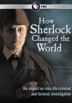 How Sherlock Changed the World