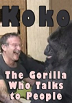 Koko: The Gorilla Who Talks to People