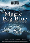 The Magic of the Big Blue